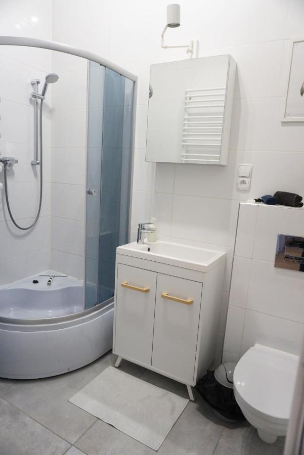 Cosy Balcony Apartment Grudziądz المظهر الخارجي الصورة
